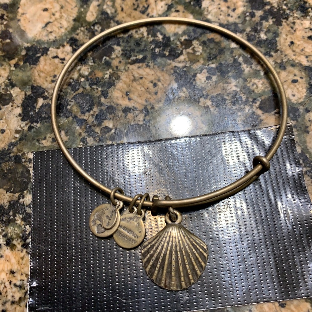 Alex and ani gold tone bracelet